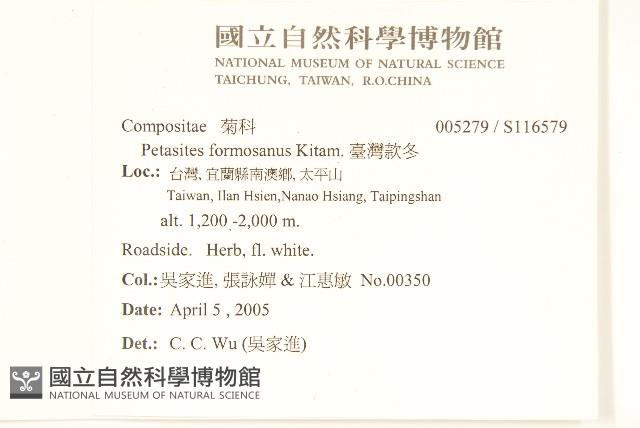 臺灣款冬藏品圖，第2張