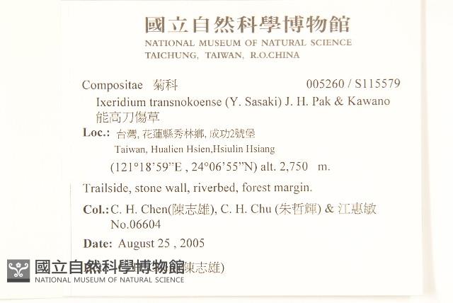 能高刀傷草藏品圖，第2張