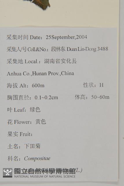 下田菊藏品圖，第2張