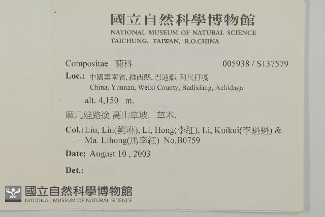 登錄號:S137579藏品圖，第2張