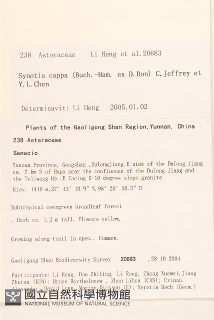 密花尾藥菊藏品圖，第2張