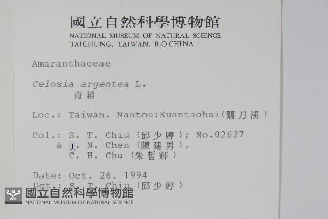 青葙藏品圖，第2張