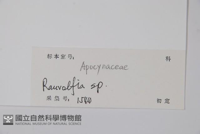 登錄號:S126789藏品圖，第2張