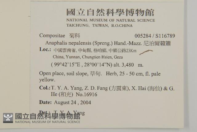 尼泊爾籟簫藏品圖，第2張