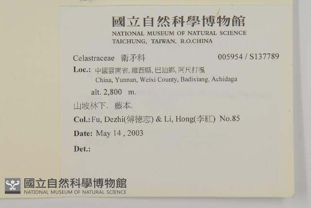 登錄號:S137789藏品圖，第2張