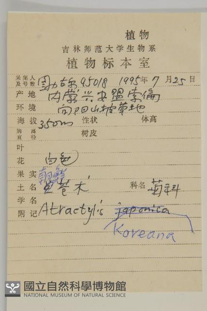 朝鮮蒼術藏品圖，第2張