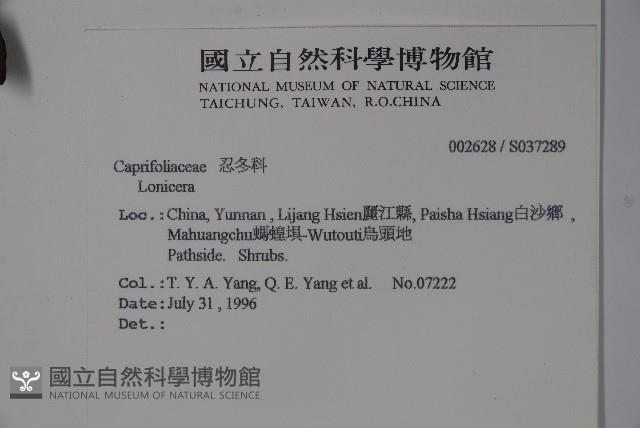 登錄號:S037289藏品圖，第2張