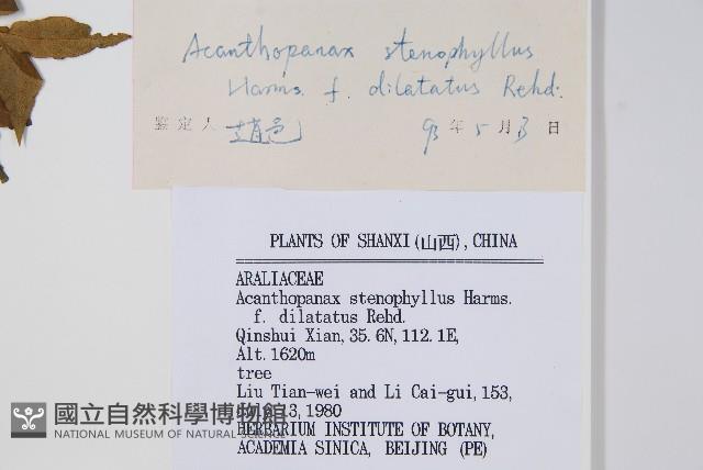 太白山五加藏品圖，第2張