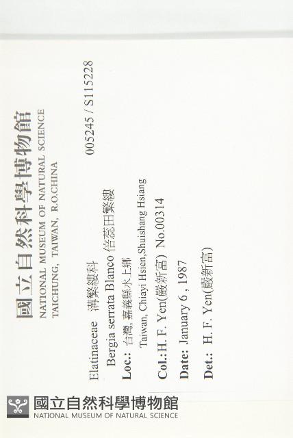 倍蕊田繁縷藏品圖，第2張