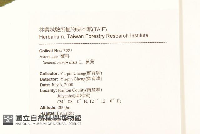 黃菀藏品圖，第2張