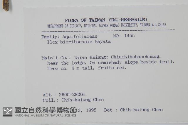 Bioritsu holly Collection Image, Figure 2, Total 2 Figures