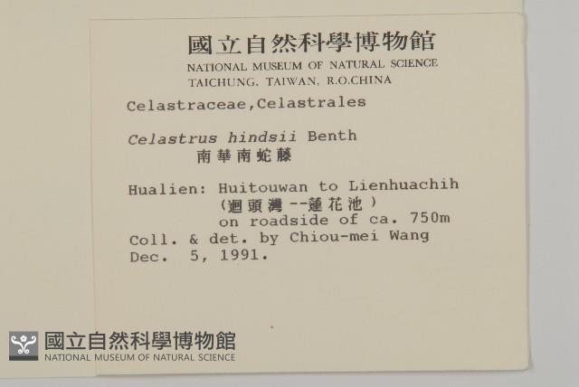 南華南蛇藤，青江藤藏品圖，第2張