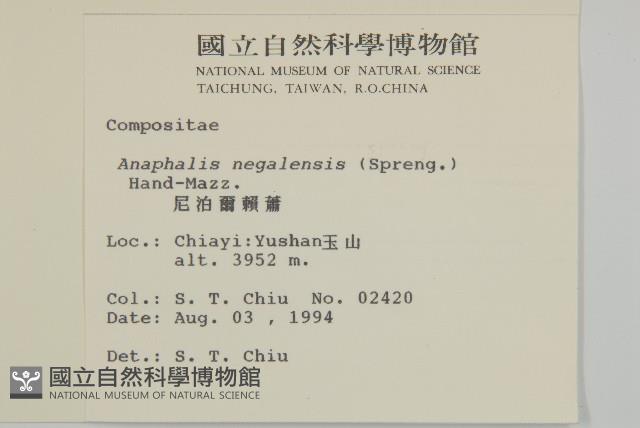 尼泊爾籟簫藏品圖，第2張