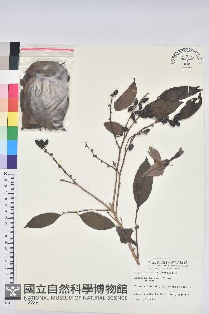 刺杜密藏品圖，第1張