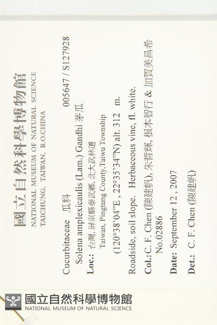 茅瓜藏品圖，第2張