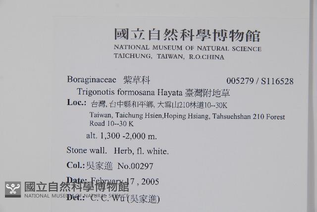 臺灣附地草藏品圖，第2張