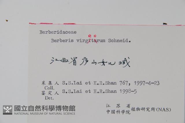 廬山小檗藏品圖，第2張