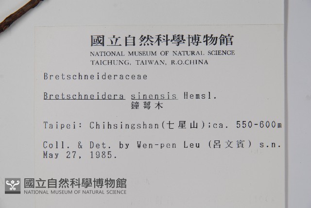 鐘萼木藏品圖，第2張