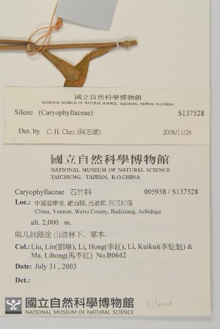 登錄號:S137528藏品圖，第2張