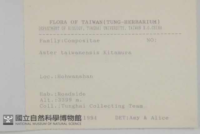 臺灣馬蘭藏品圖，第2張