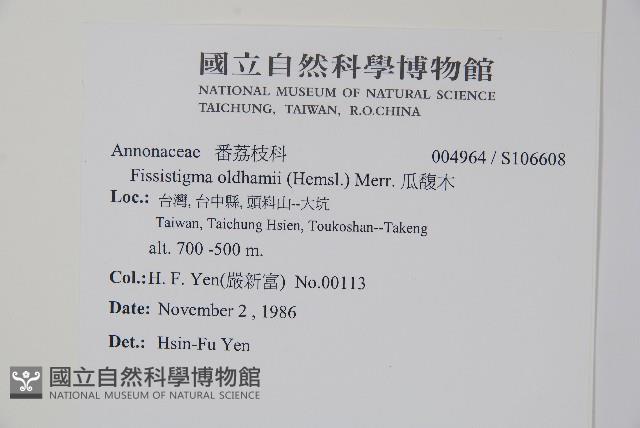 瓜馥木藏品圖，第2張