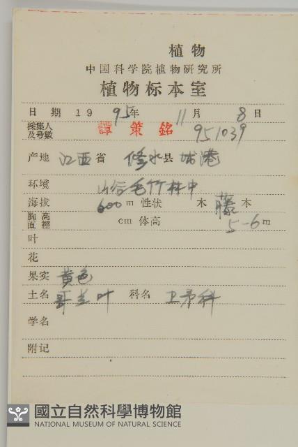 哥蘭葉藏品圖，第2張