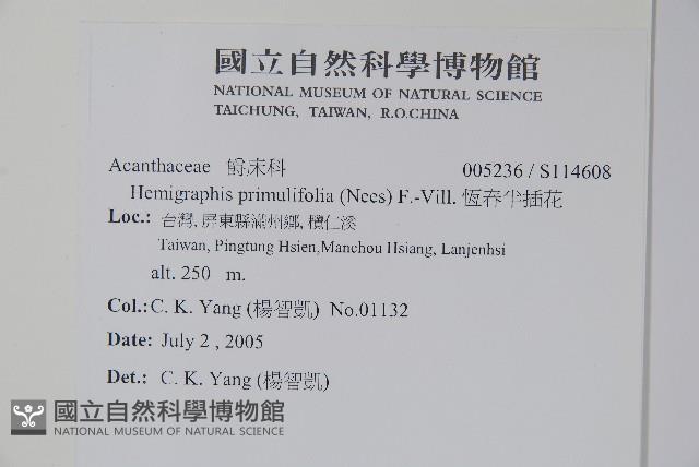 恆春半插花藏品圖，第2張