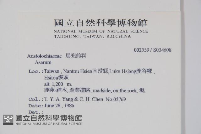 登錄號:S034608藏品圖，第2張