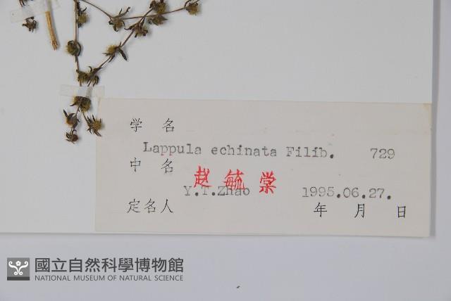 鶴蝨藏品圖，第2張