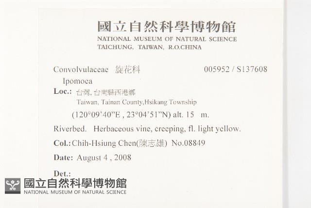 登錄號:S137608藏品圖，第2張