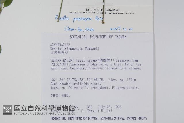 蘆利草、匐蘆利草藏品圖，第2張