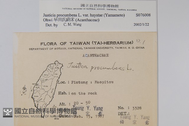 早田氏爵床藏品圖，第2張