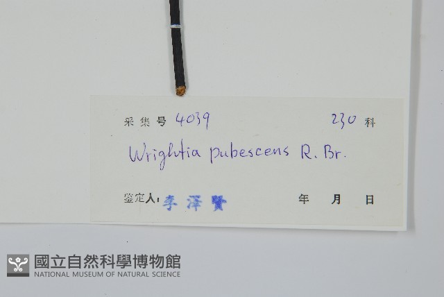 倒吊芼藏品圖，第2張