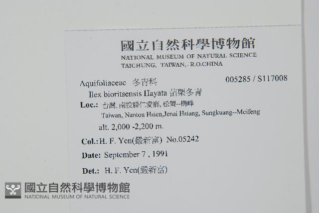 苗栗冬青藏品圖，第2張