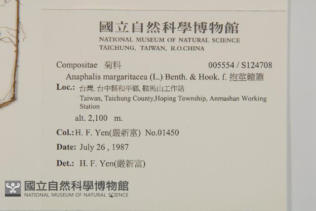 抱莖籟簫藏品圖，第2張