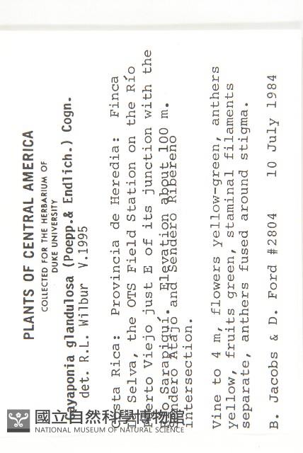 登錄號:S035208藏品圖，第2張