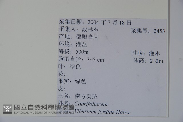 南方莢迷藏品圖，第2張