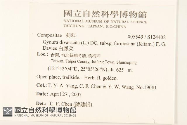 白鳳菜藏品圖，第2張