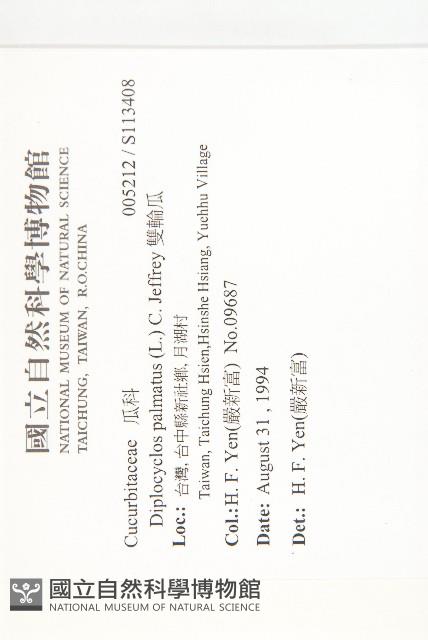 雙輪瓜藏品圖，第2張