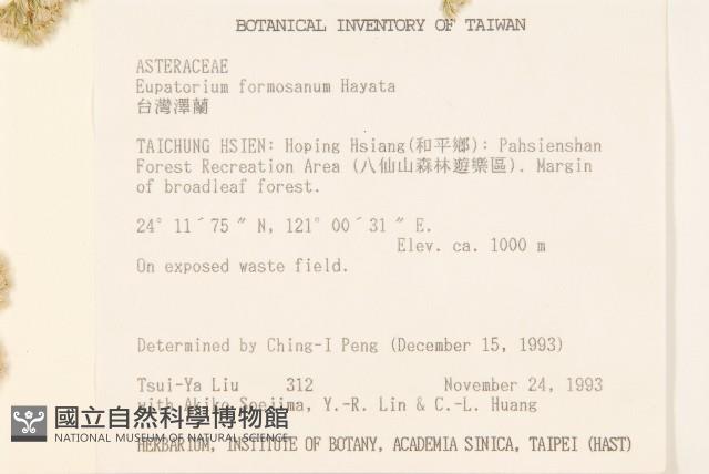 Formosan eupatorium Collection Image, Figure 2, Total 2 Figures