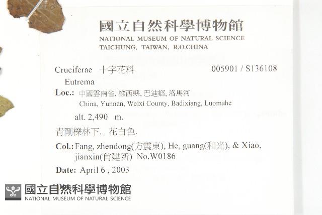 登錄號:S136108藏品圖，第2張