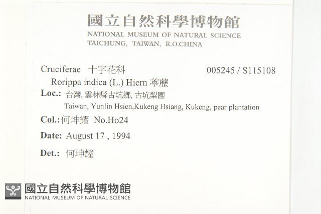 葶藶藏品圖，第2張