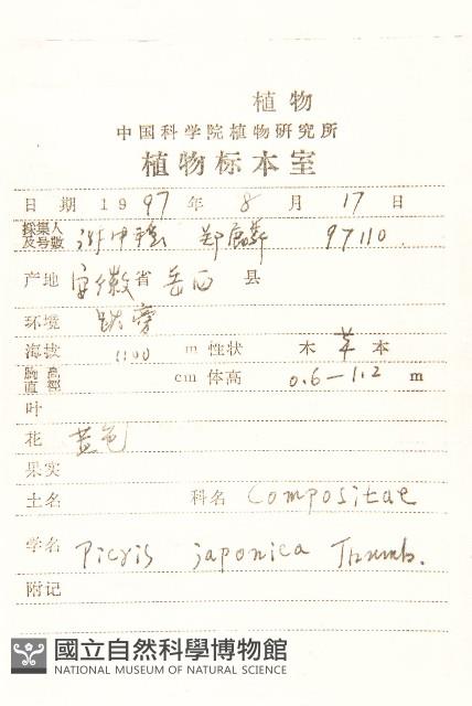 毛蓮菜藏品圖，第2張