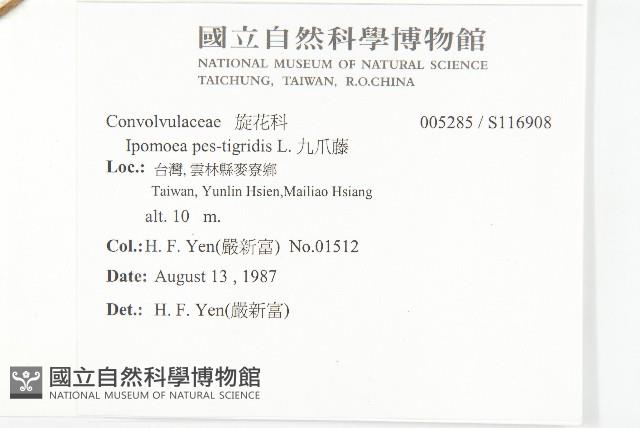 九爪藤藏品圖，第2張