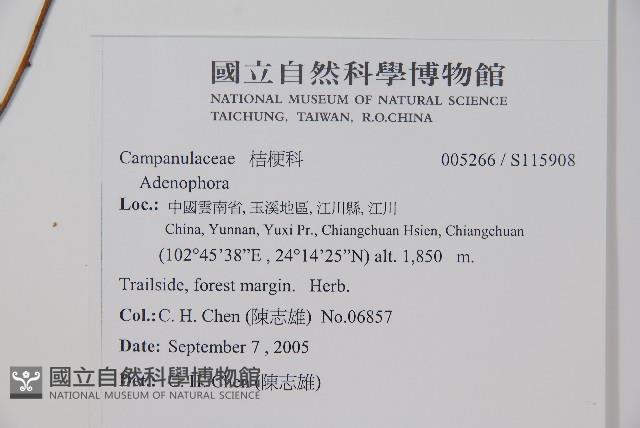 登錄號:S115908藏品圖，第2張