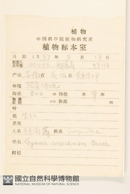 野茼蒿藏品圖，第2張