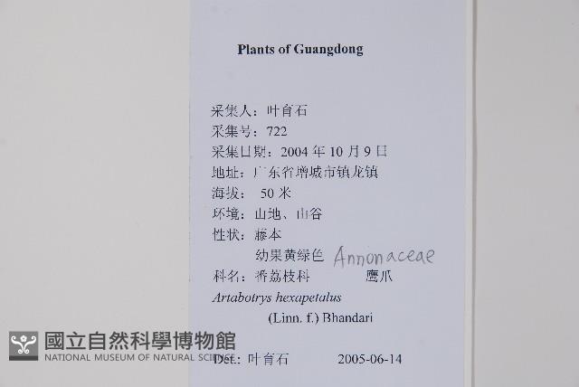 鷹爪花藏品圖，第2張
