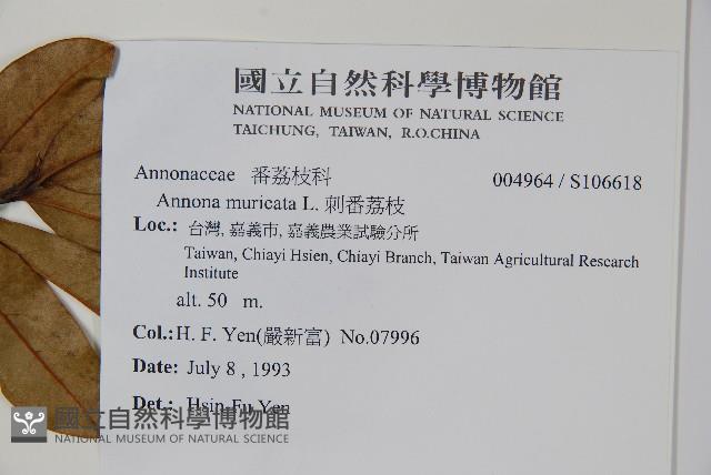 刺番荔枝藏品圖，第2張