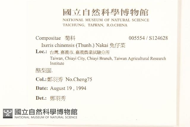 藤花椒藏品圖，第2張