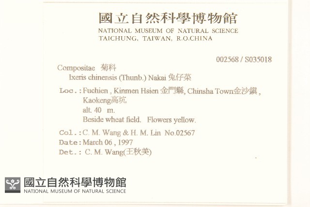 兔仔菜藏品圖，第2張